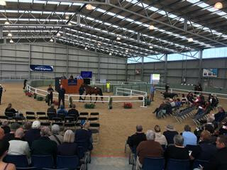 NZB's South Island Sale Online Now
